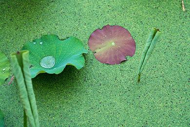 《双影奇境》宣布 Nintendo Switch 2 预购信息与深入访谈